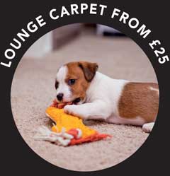 Carpets cleaned