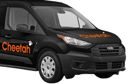 Cheetahs Van
